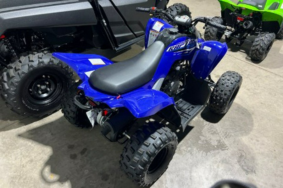2026 Yamaha Raptor 110