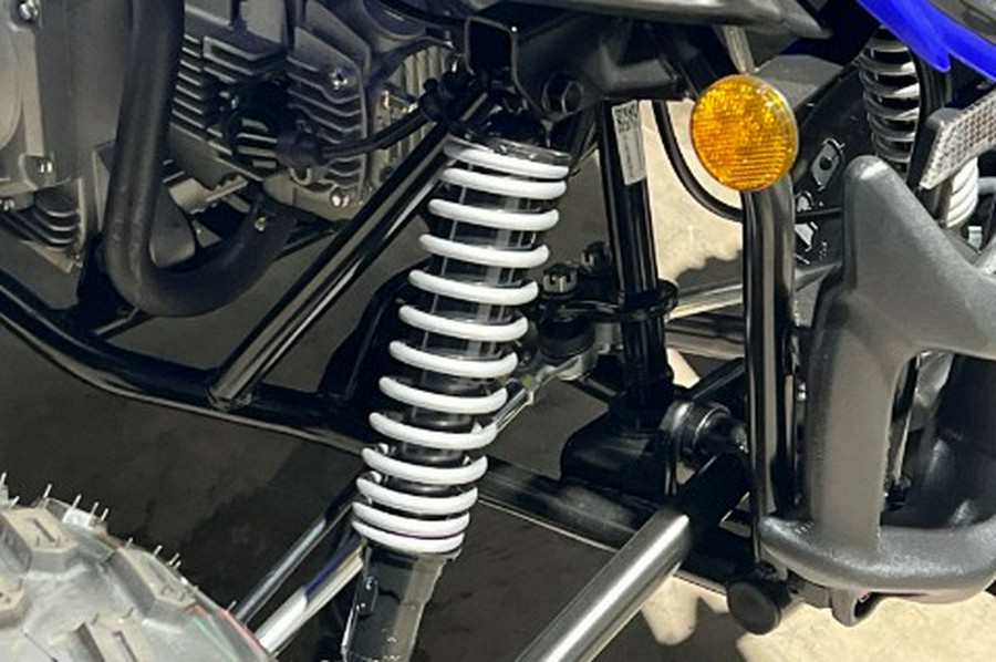 2026 Yamaha Raptor 110