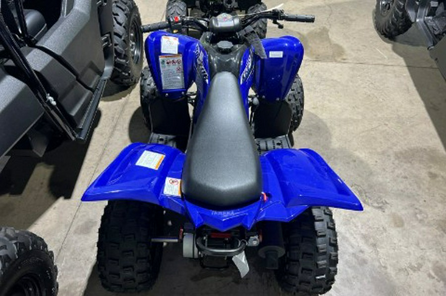 2026 Yamaha Raptor 110