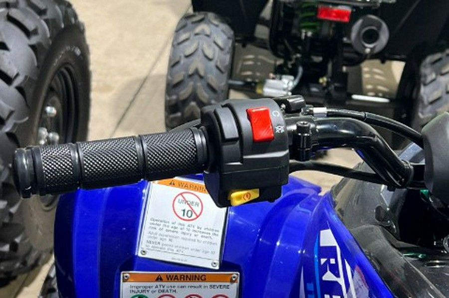 2026 Yamaha Raptor 110
