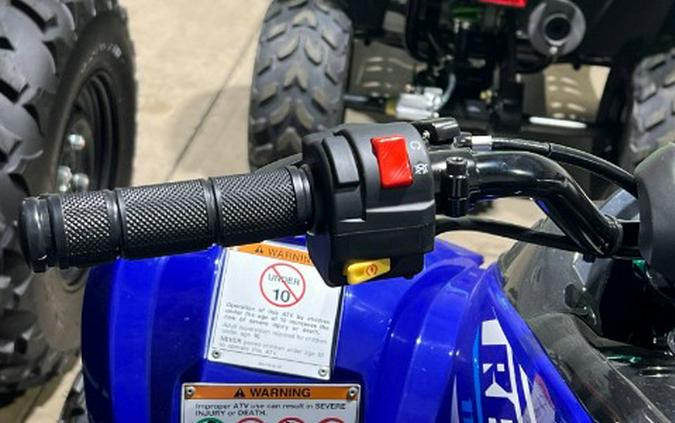 2026 Yamaha Raptor 110