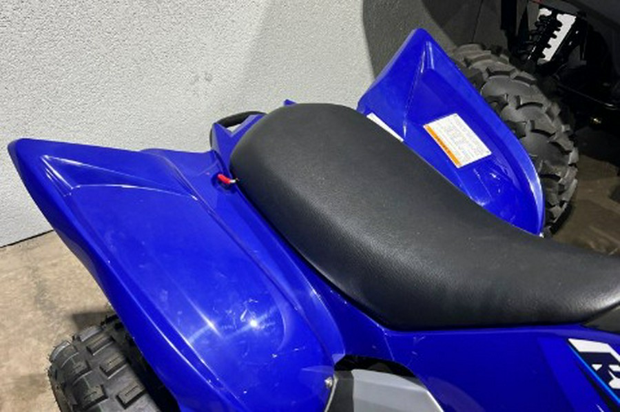 2026 Yamaha Raptor 110