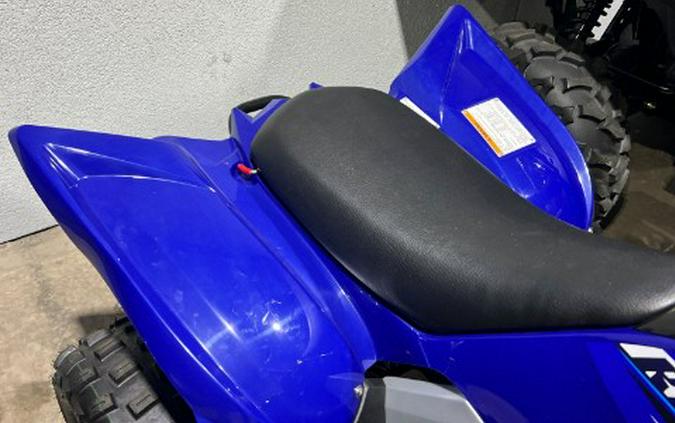 2026 Yamaha Raptor 110