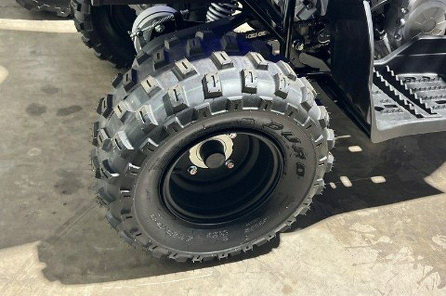 2026 Yamaha Raptor 110