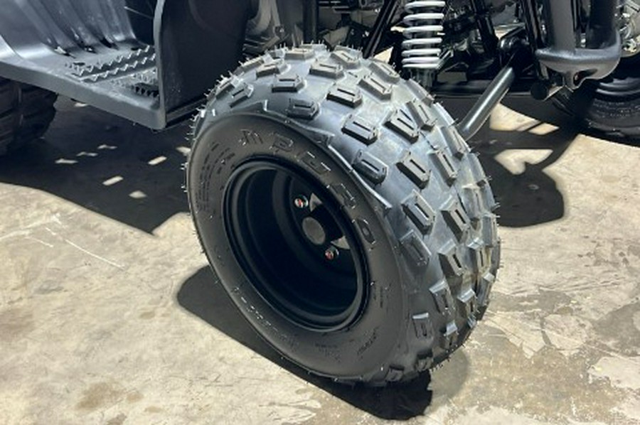 2026 Yamaha Raptor 110