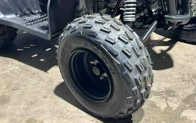 2026 Yamaha Raptor 110