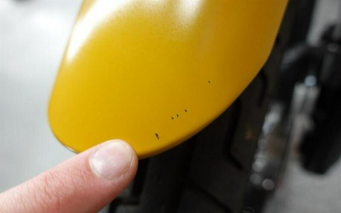 2019 Harley-Davidson Street Bob