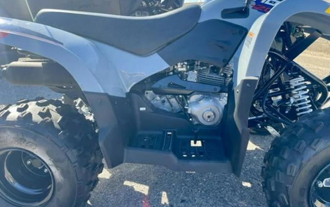 2027 Polaris Phoenix 200