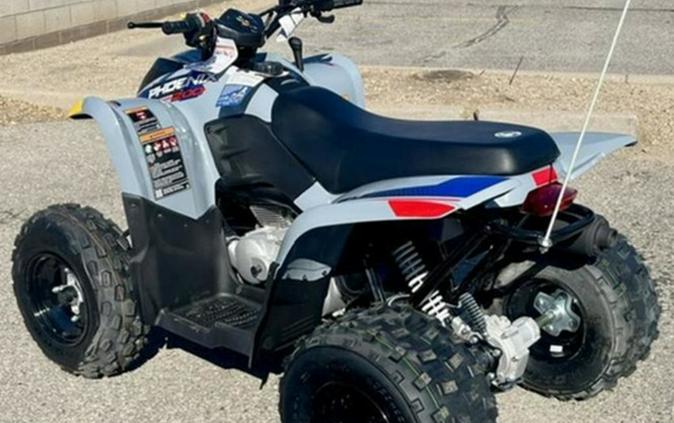 2027 Polaris Phoenix 200