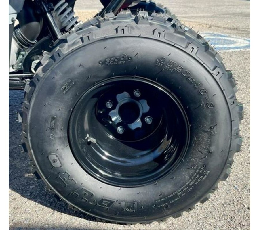 2027 Polaris Phoenix 200