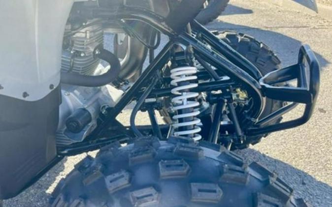 2027 Polaris Phoenix 200