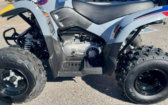 2027 Polaris Phoenix 200