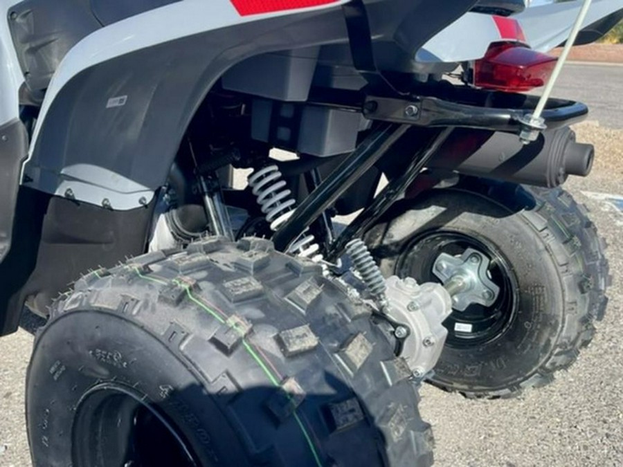 2027 Polaris Phoenix 200