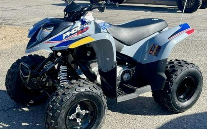2027 Polaris Phoenix 200
