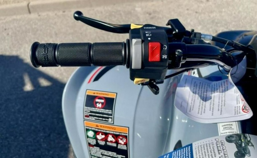 2027 Polaris Phoenix 200