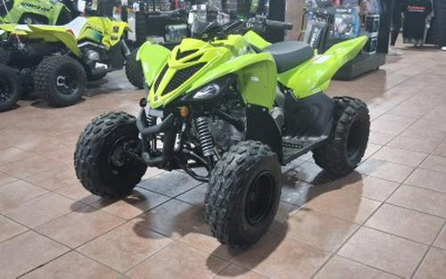 2026 Yamaha Raptor 110