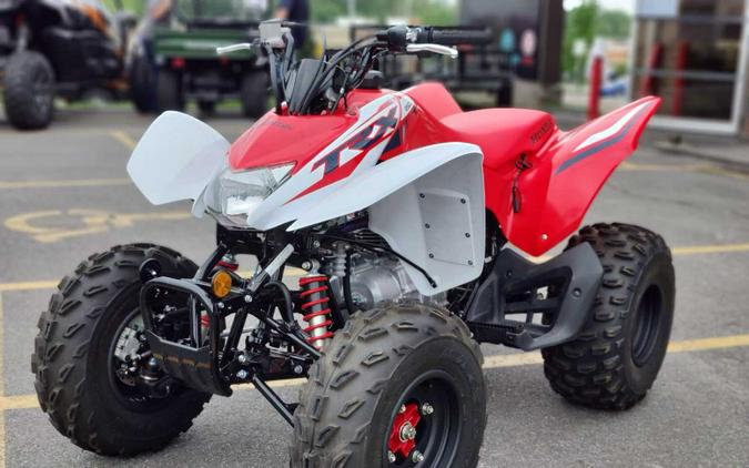 2024 Honda TRX 250X