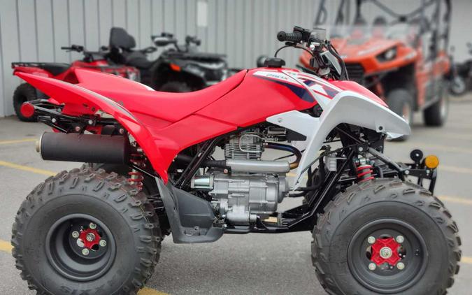 2024 Honda TRX 250X