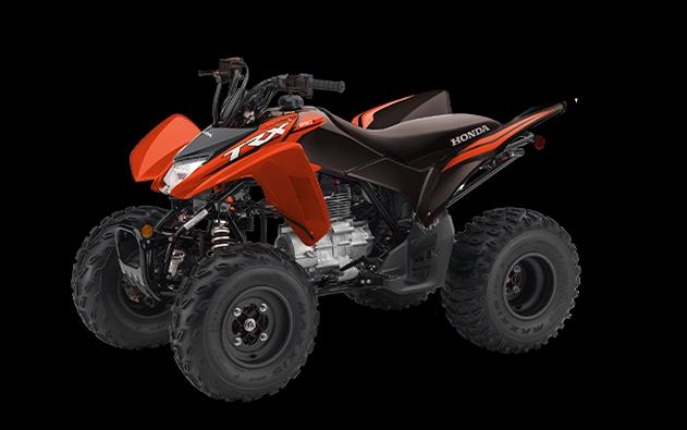 2024 Honda TRX 250X