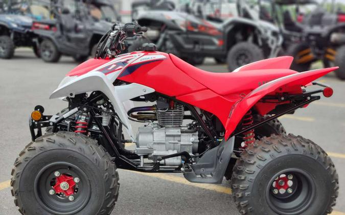 2024 Honda TRX 250X