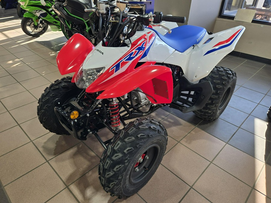 2026 HONDA TRX 250X