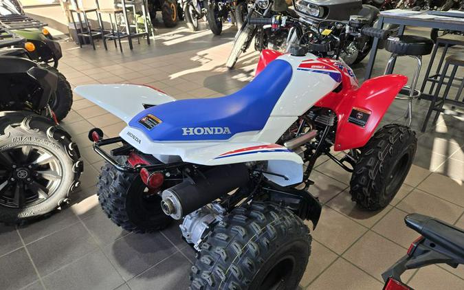New 2026 HONDA TRX 250X