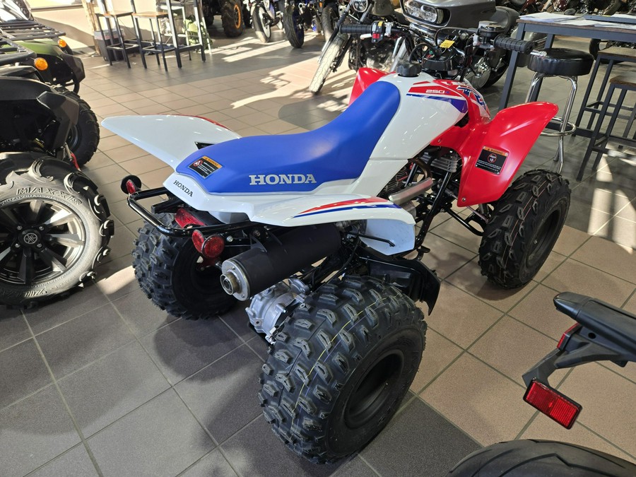 2026 HONDA TRX 250X