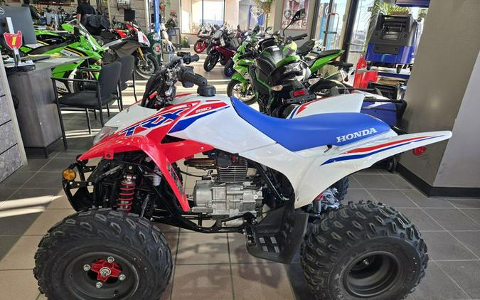 New 2026 HONDA TRX 250X