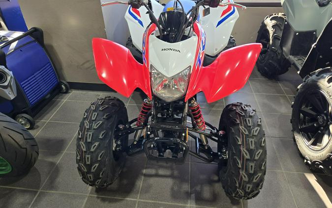 2026 HONDA TRX 250X