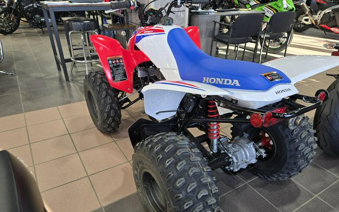 2026 HONDA TRX 250X