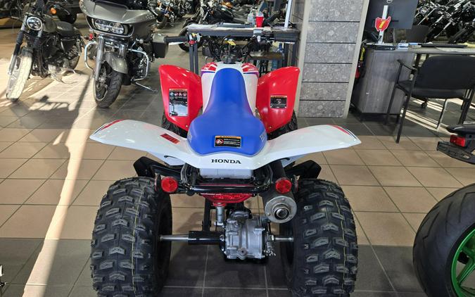 2026 HONDA TRX 250X