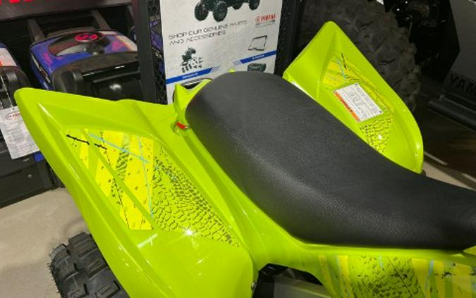 2026 Yamaha Raptor 110