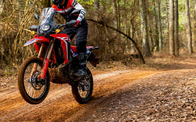 2023 Honda CRF300L Rally First Look Preview