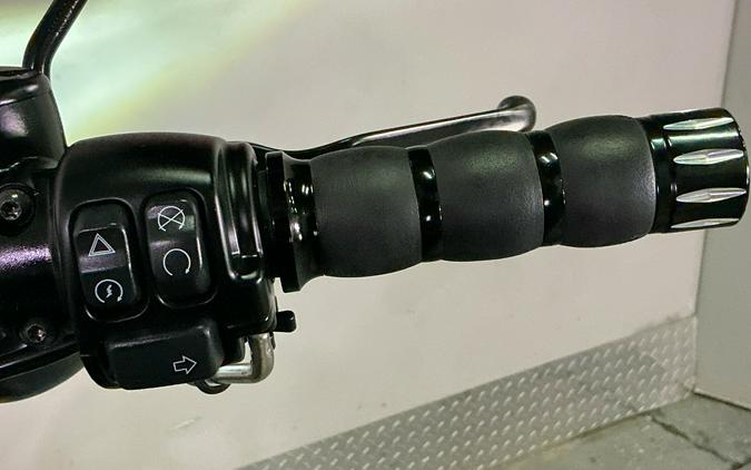 2021 Harley-Davidson Iron 883™