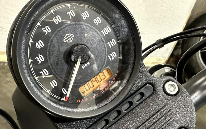 Harley-Davidson® Iron 883™ 2021 XL 883N 408018A RIVER ROCK GRAY DENIM