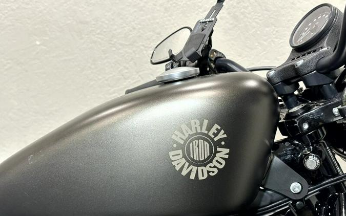 Harley-Davidson® Iron 883™ 2021 XL 883N 408018A RIVER ROCK GRAY DENIM