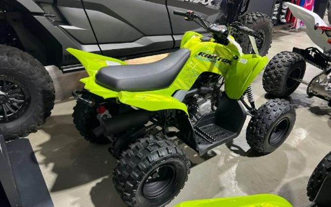 2026 Yamaha Raptor 110