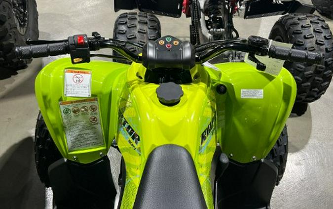 2026 Yamaha Raptor 110