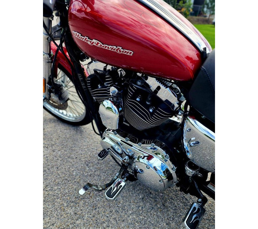2004 Harley Davidson XL1200C