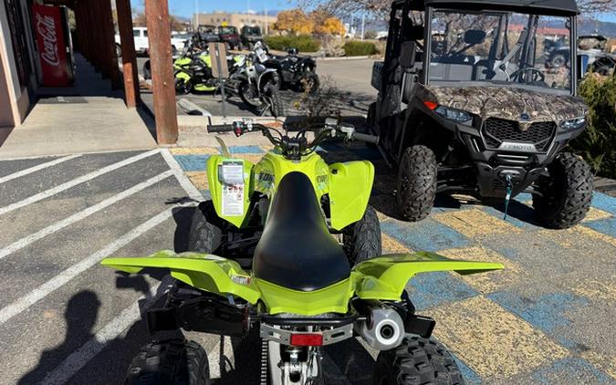 2026 Yamaha Raptor 700R SE