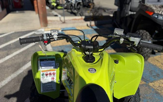 2026 Yamaha Raptor 700R SE