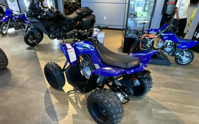 2026 Yamaha Raptor 110