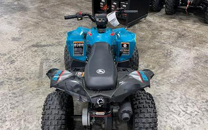 2024 Can-Am Renegade 70 EFI