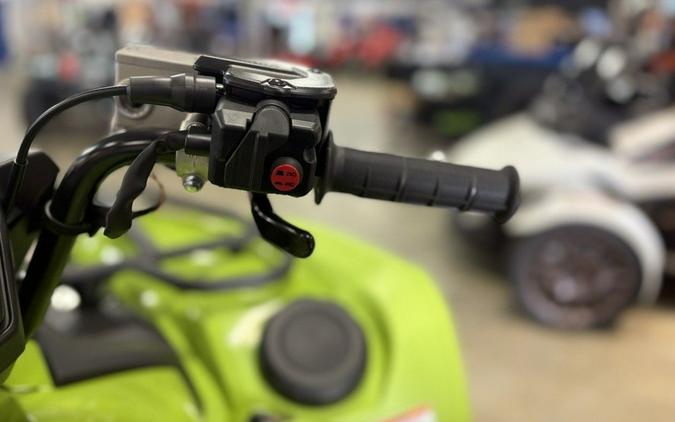 2026 Yamaha Grizzly EPS