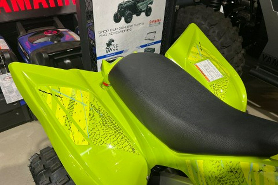 2026 Yamaha Raptor 110