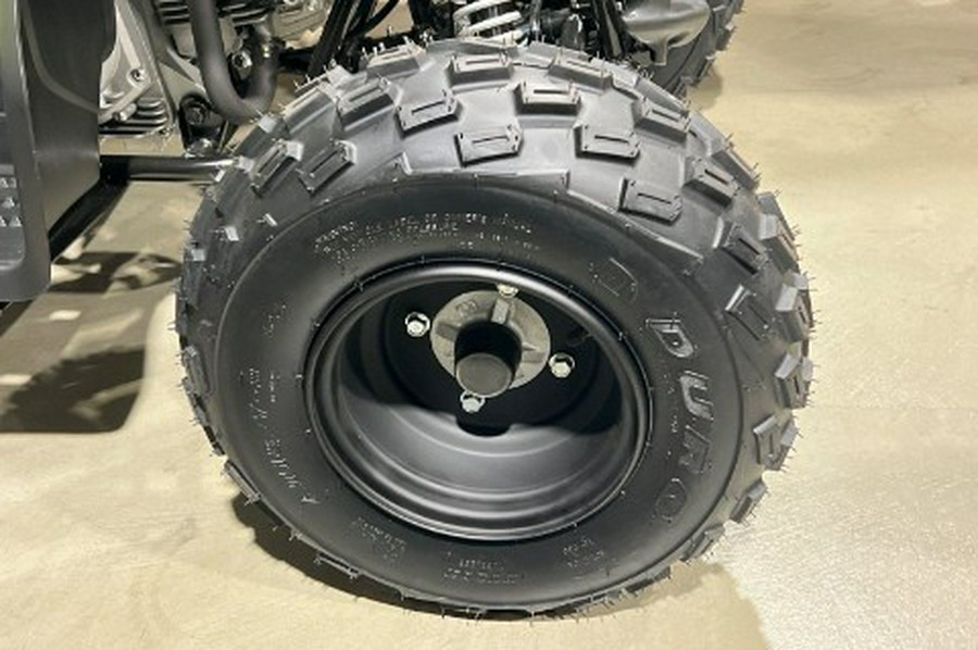 2026 Yamaha Raptor 110