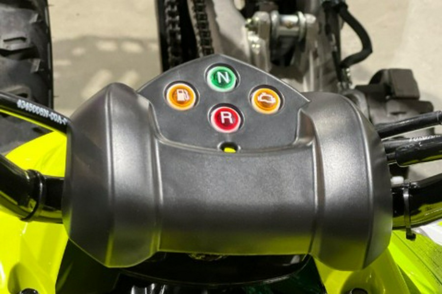 2026 Yamaha Raptor 110