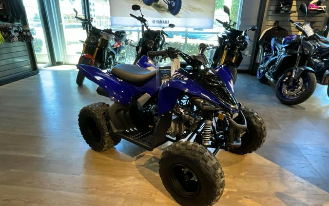 2026 Yamaha Raptor 110
