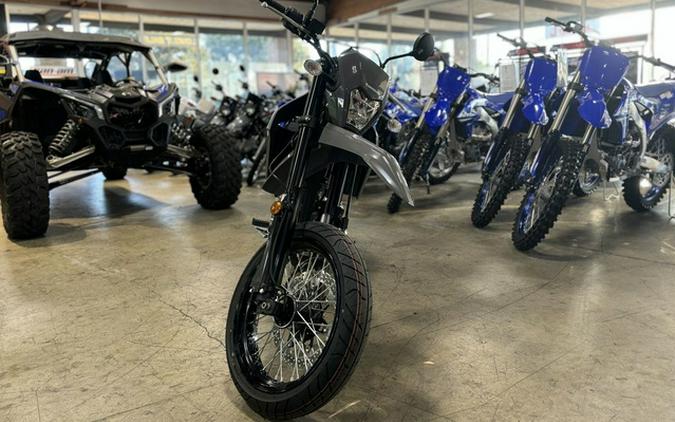 2025 Kawasaki KLX300SM