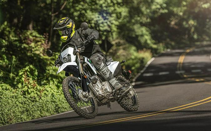2026 Kawasaki KLX 300